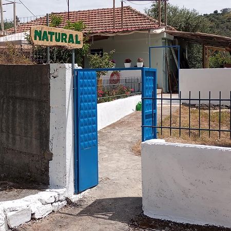 Natural Hostel Himara Kültér fotó
