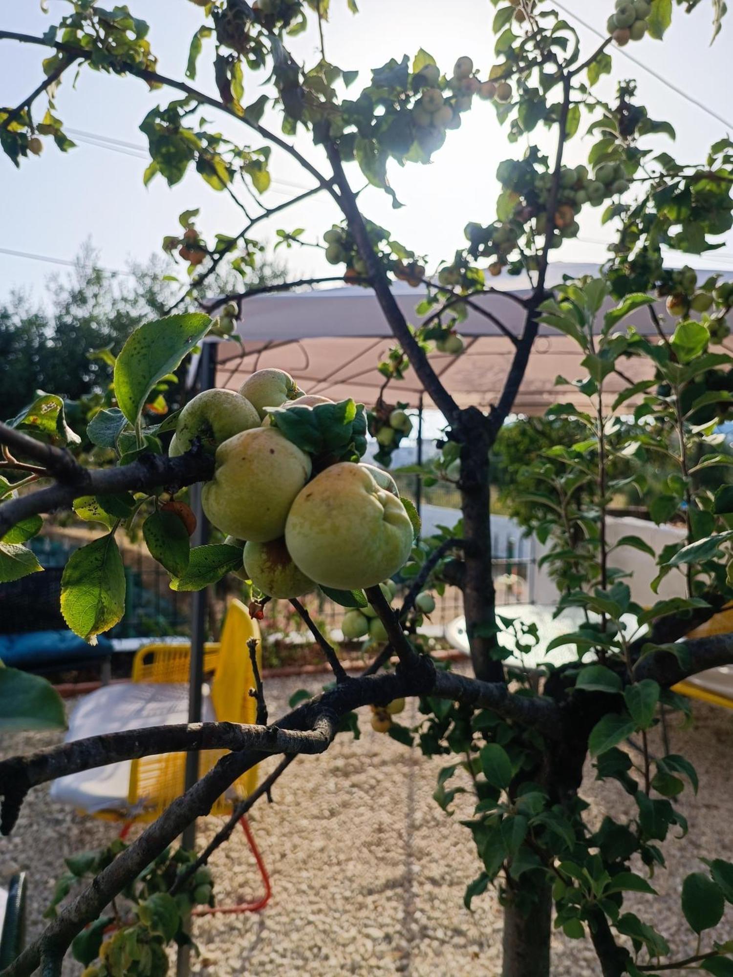Natural Hostel Himara Kültér fotó